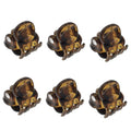 Camila Paris AD115/6 French Hair Clip For Women, Set Tortoise Shell 0.5"