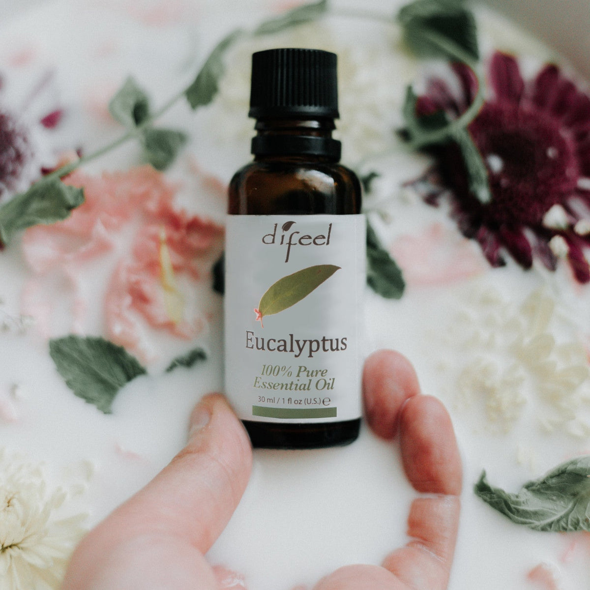 Difeel Essential Oils 100% Pure Eucalyptus Oil 1 Ounce